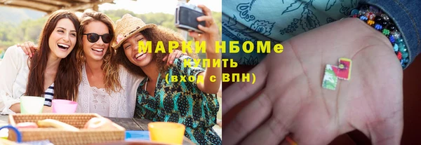 индика Инта