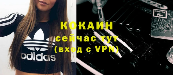 индика Инта
