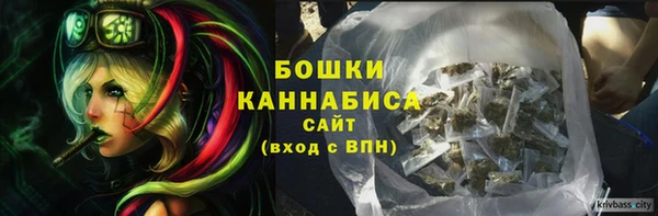 соль ск Зеленодольск