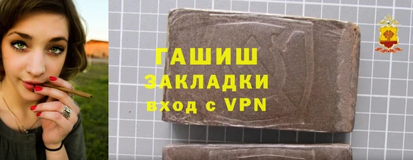 индика Инта