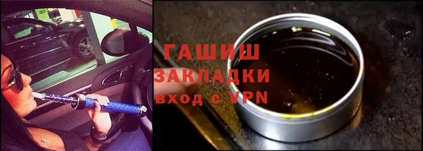 индика Инта