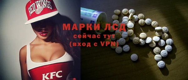 шишки Инсар