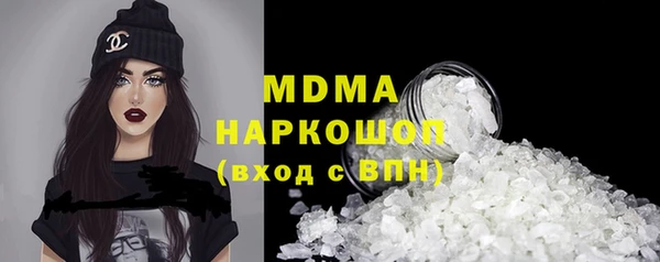 индика Инта