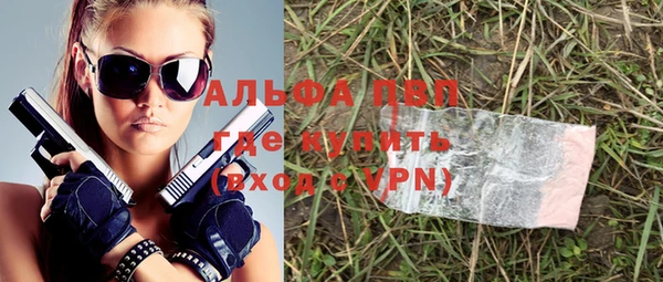 шишки Инсар