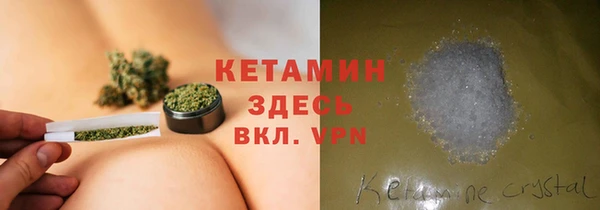 индика Инта