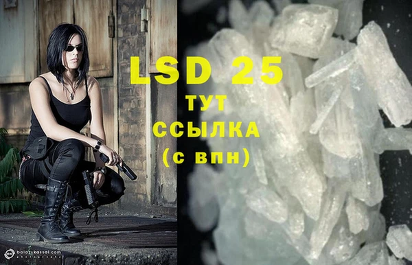 индика Инта