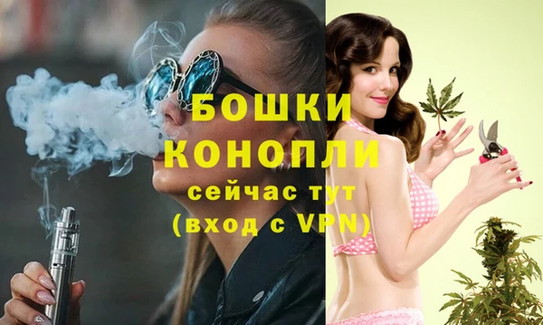 индика Инта