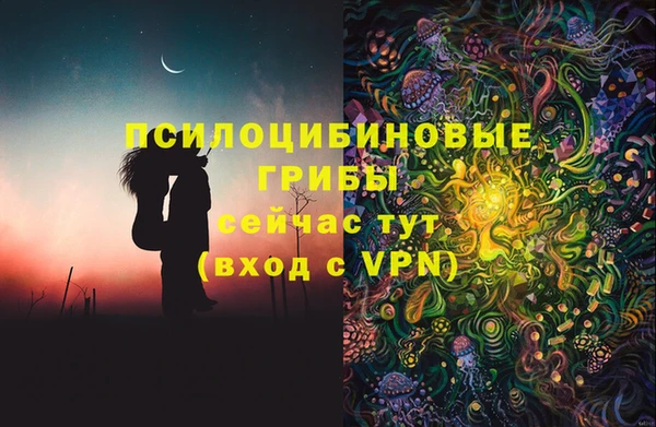 PSILOCYBIN Зеленокумск