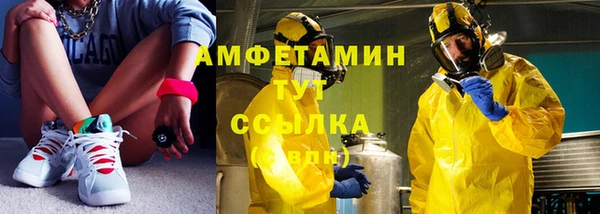 шишки Инсар