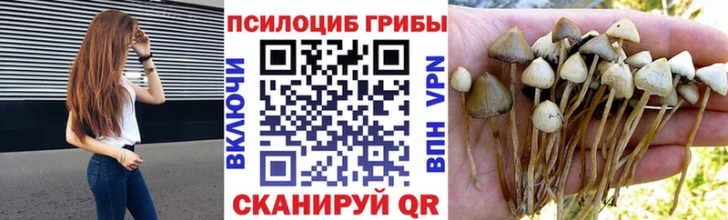 Купить  Кондопога  Галлюциногенные грибы мухоморы 